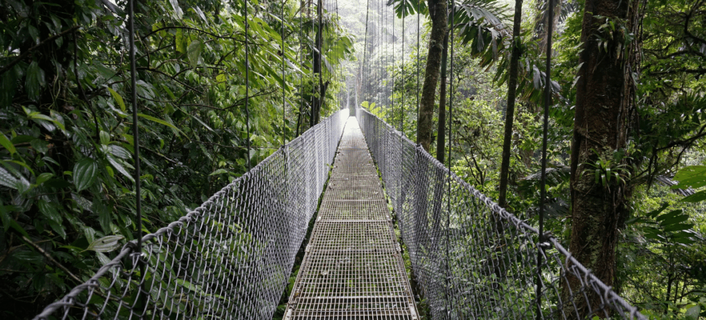 La Fortuna est une région qui offre des sources chaudes naturelles, des ponts suspendus en canopée